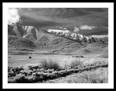 California / Art Photo - Framed Print