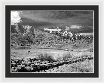 California / Art Photo - Framed Print