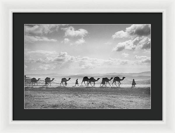 Camel Caravan on Mount of Olives / Art Photo - Framed Print