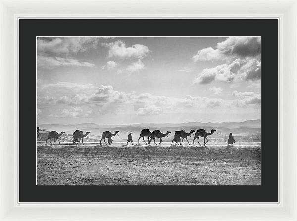 Camel Caravan on Mount of Olives / Art Photo - Framed Print