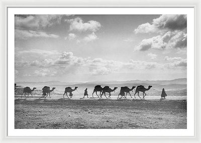 Camel Caravan on Mount of Olives / Art Photo - Framed Print