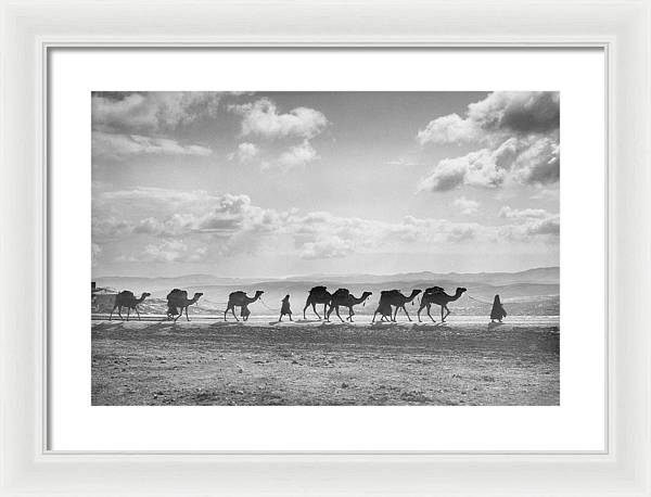 Camel Caravan on Mount of Olives / Art Photo - Framed Print