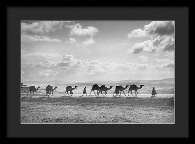 Camel Caravan on Mount of Olives / Art Photo - Framed Print