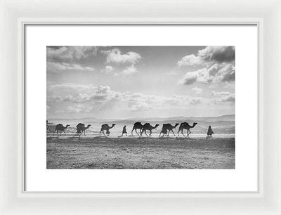 Camel Caravan on Mount of Olives / Art Photo - Framed Print