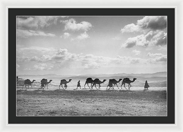 Camel Caravan on Mount of Olives / Art Photo - Framed Print