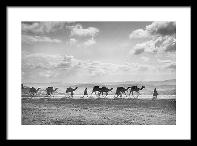 Camel Caravan on Mount of Olives / Art Photo - Framed Print