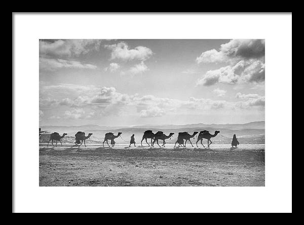 Camel Caravan on Mount of Olives / Art Photo - Framed Print