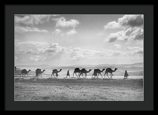 Camel Caravan on Mount of Olives / Art Photo - Framed Print