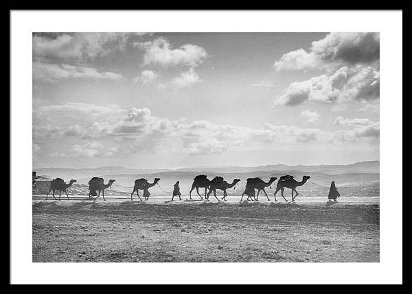 Camel Caravan on Mount of Olives / Art Photo - Framed Print