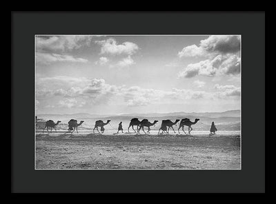 Camel Caravan on Mount of Olives / Art Photo - Framed Print