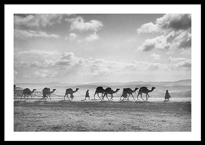 Camel Caravan on Mount of Olives / Art Photo - Framed Print