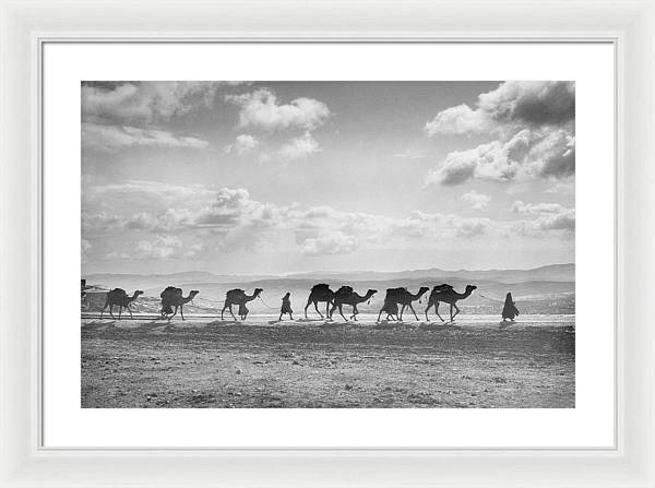 Camel Caravan on Mount of Olives / Art Photo - Framed Print