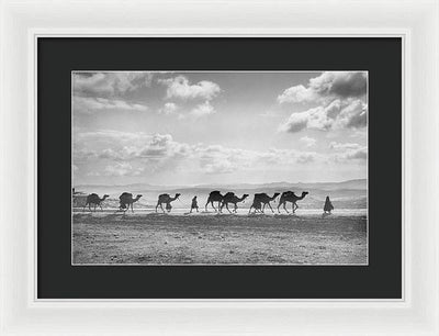 Camel Caravan on Mount of Olives / Art Photo - Framed Print