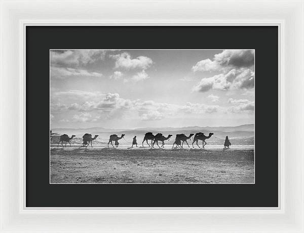 Camel Caravan on Mount of Olives / Art Photo - Framed Print