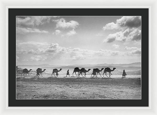 Camel Caravan on Mount of Olives / Art Photo - Framed Print