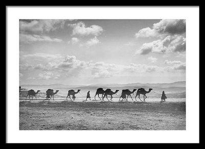 Camel Caravan on Mount of Olives / Art Photo - Framed Print