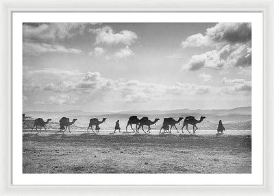 Camel Caravan on Mount of Olives / Art Photo - Framed Print