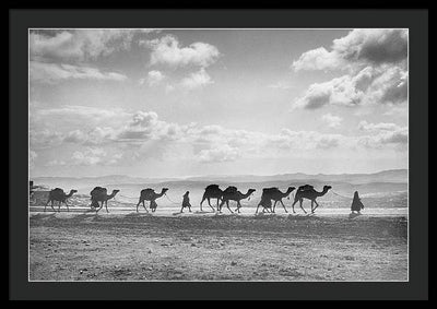 Camel Caravan on Mount of Olives / Art Photo - Framed Print