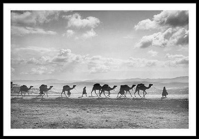 Camel Caravan on Mount of Olives / Art Photo - Framed Print