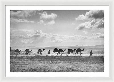 Camel Caravan on Mount of Olives / Art Photo - Framed Print