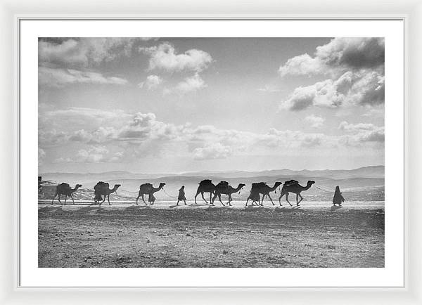 Camel Caravan on Mount of Olives / Art Photo - Framed Print