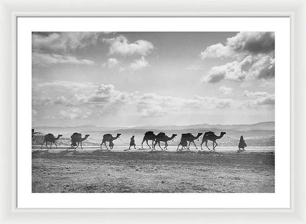 Camel Caravan on Mount of Olives / Art Photo - Framed Print