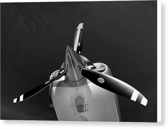 Cirrus  SR 22 GTS Generation 3 / Art Photo - Canvas Print