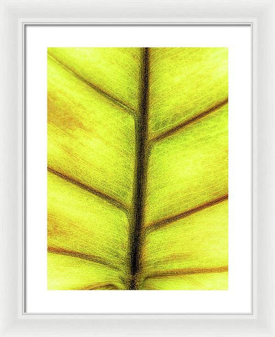 Closeup of a Leaf / Art Photo - Framed Print