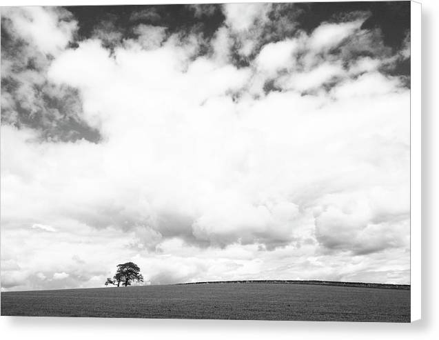 Country View, United Kingdom / Art Photo - Canvas Print