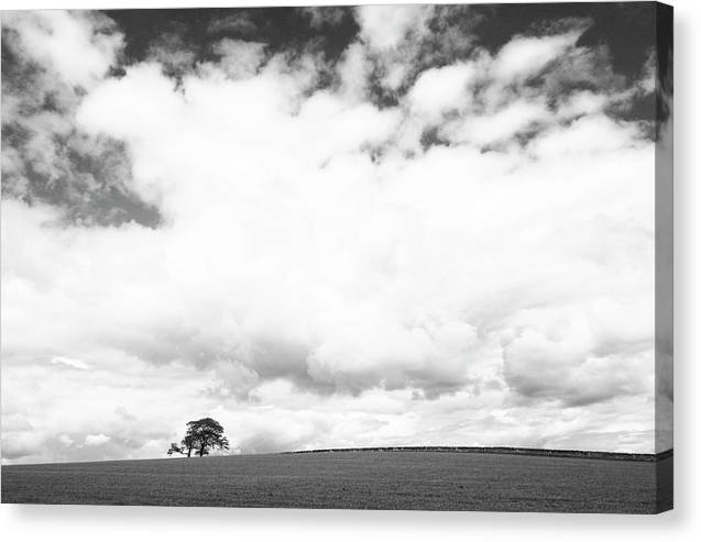 Country View, United Kingdom / Art Photo - Canvas Print