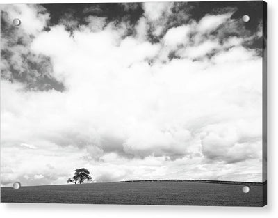 Country View, United Kingdom / Art Photo - Acrylic Print