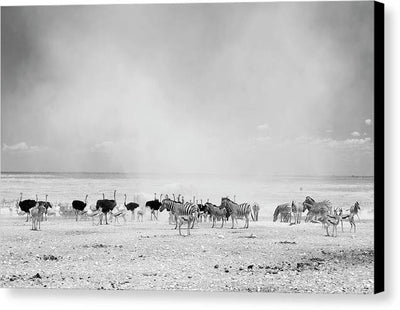 Dust Cloud, Namibia / Art Photo - Canvas Print