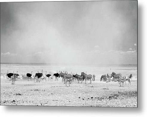 Dust Cloud, Namibia / Art Photo - Metal Print