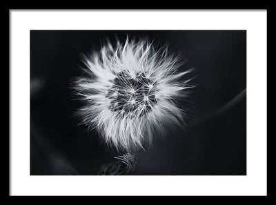 Faites un Voeux / Art Photo - Framed Print