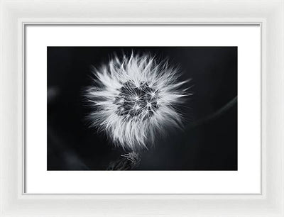 Faites un Voeux / Art Photo - Framed Print