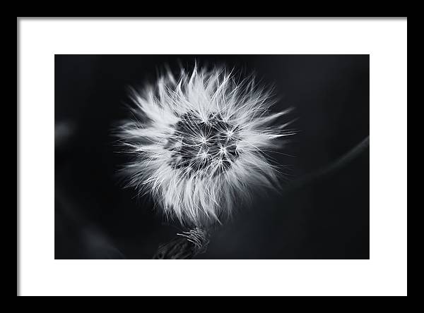 Faites un Voeux / Art Photo - Framed Print