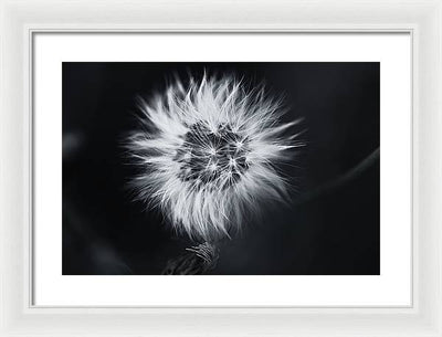 Faites un Voeux / Art Photo - Framed Print