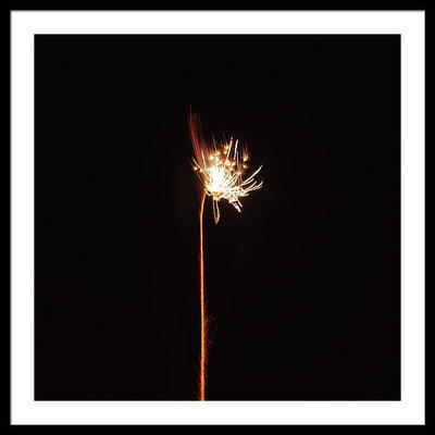 Firework / Art Photo - Framed Print