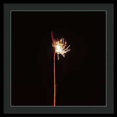 Firework / Art Photo - Framed Print