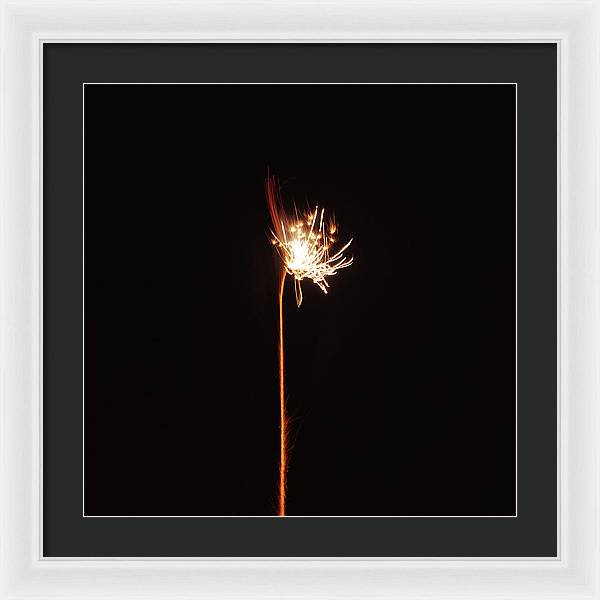 Firework / Art Photo - Framed Print