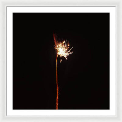 Firework / Art Photo - Framed Print