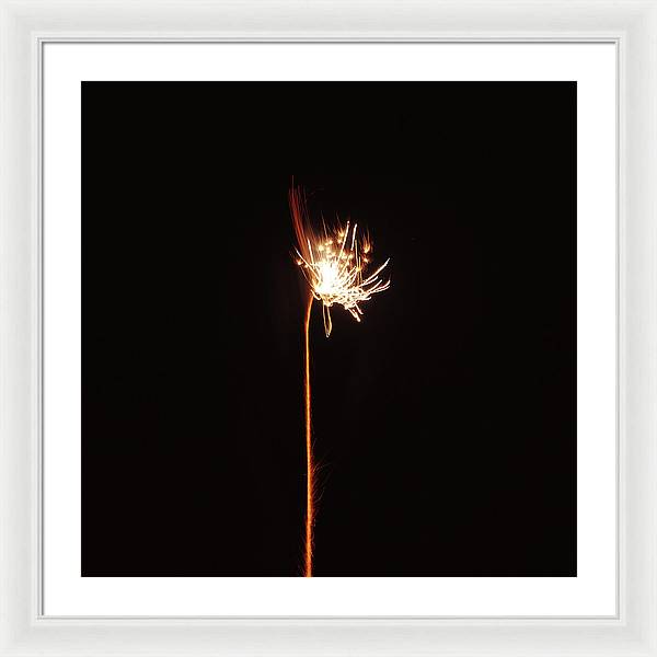 Firework / Art Photo - Framed Print