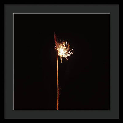 Firework / Art Photo - Framed Print