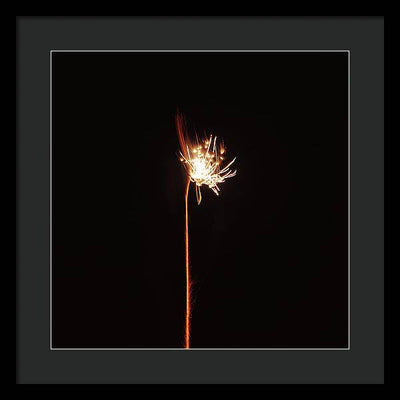 Firework / Art Photo - Framed Print