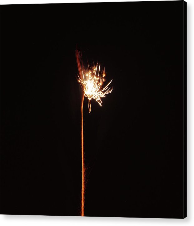 Firework / Art Photo - Acrylic Print