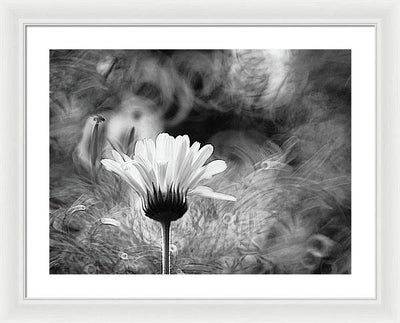 Flower, Macro, Black and White / Art Photo - Framed Print