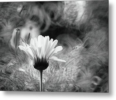 Flower, Macro, Black and White / Art Photo - Metal Print