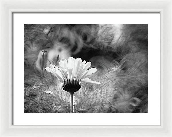 Flower, Macro, Black and White / Art Photo - Framed Print