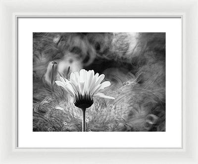 Flower, Macro, Black and White / Art Photo - Framed Print