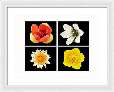 Flowers / Art Photo - Framed Print